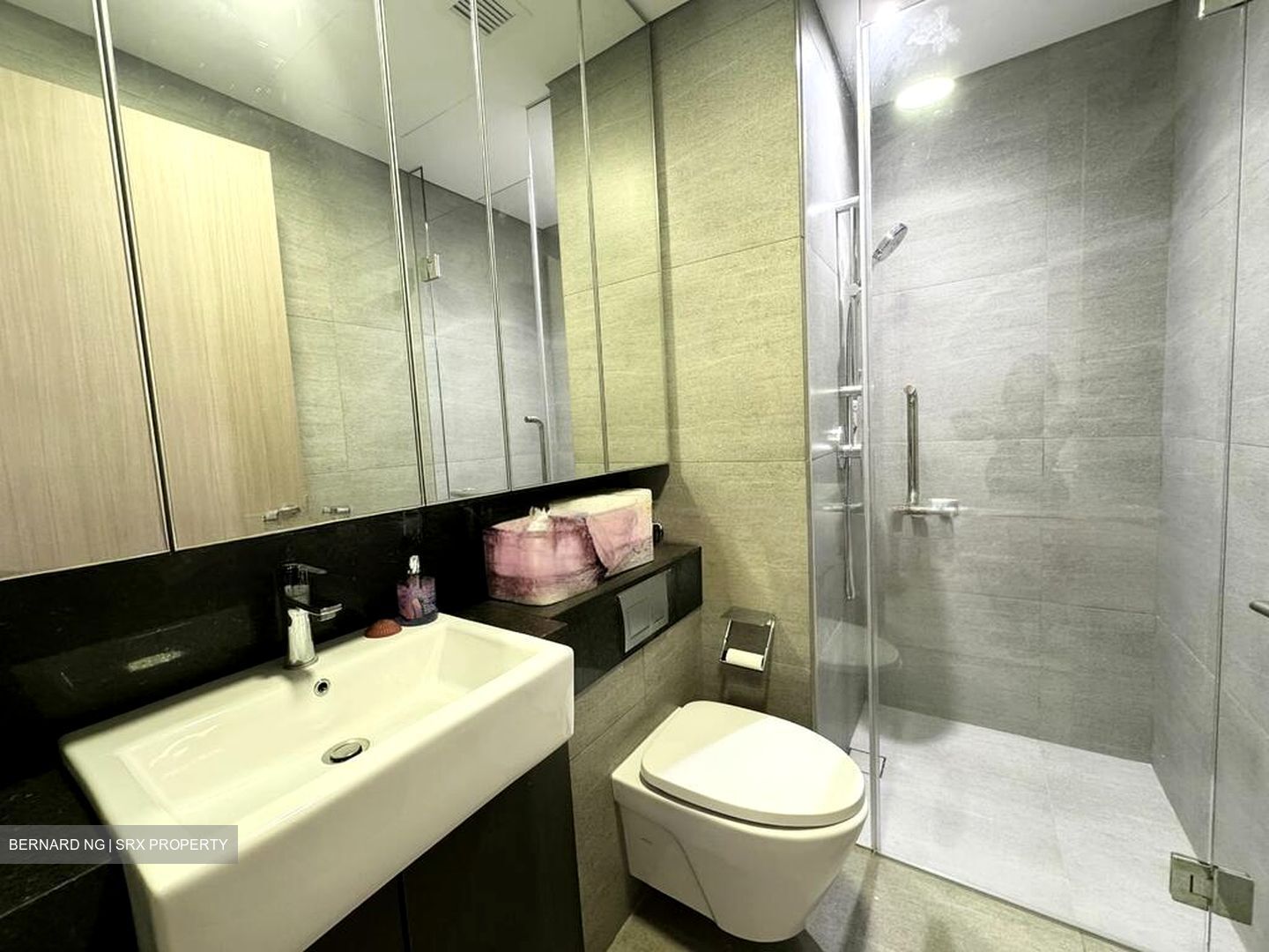 The Woodleigh Residences (D13), Apartment #496962571